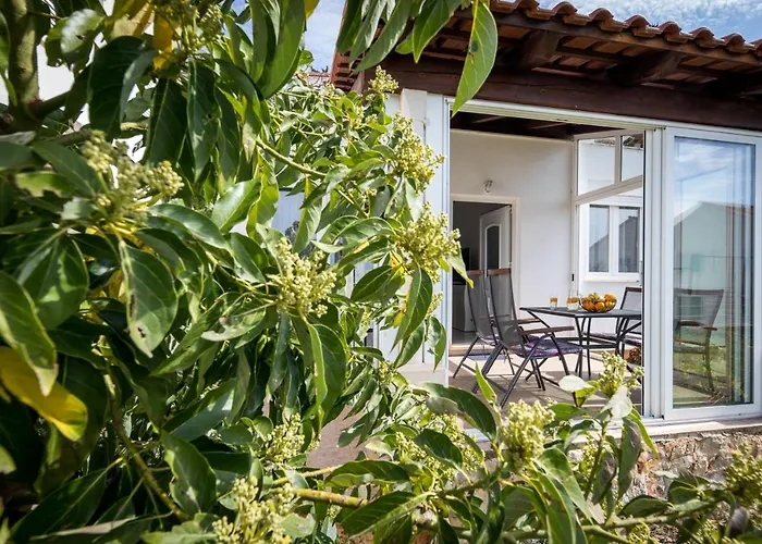 Avocado Apartment