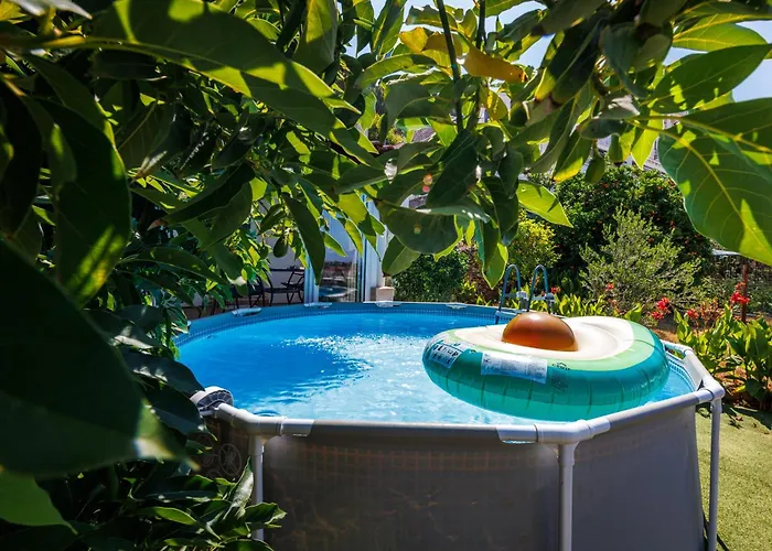 Avocado Apartment